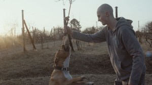 my_dog_killer_film_still