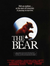 TheBear